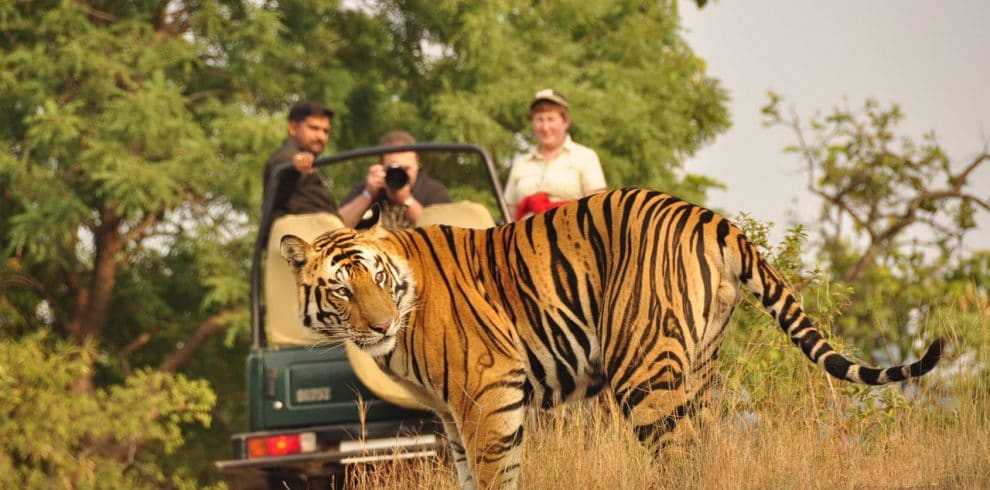 Bardiya National Park