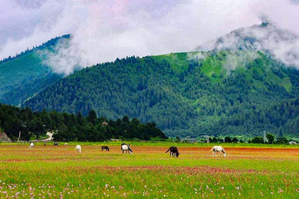Dhorpatan Hunting Reserve: